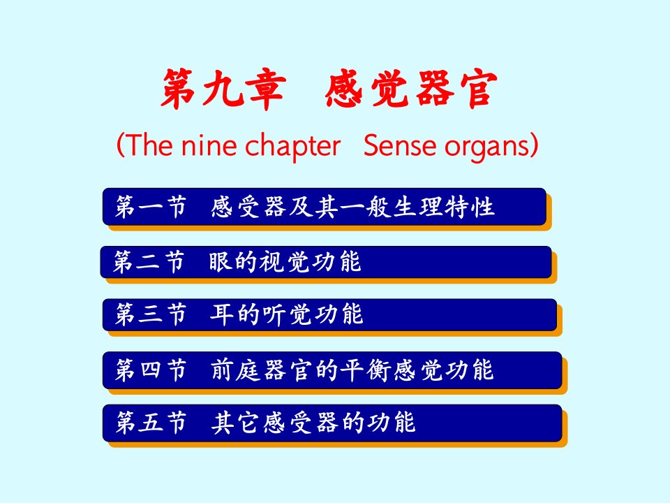 哈尔滨医科大学基础医学生理学课件感觉器官