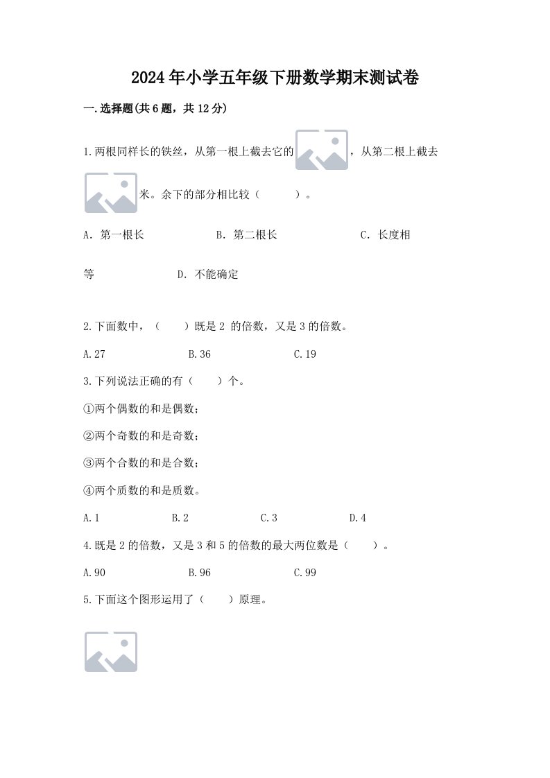 2024年小学五年级下册数学期末测试卷（精练）