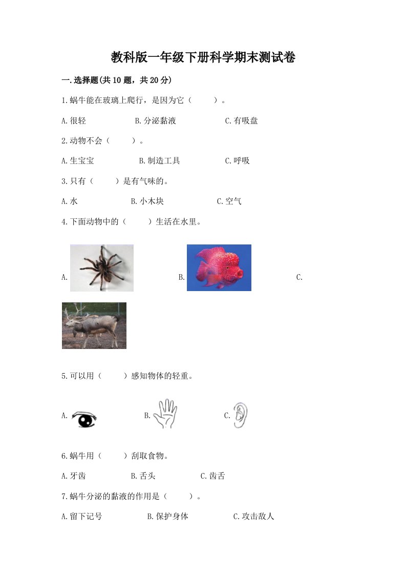 教科版一年级下册科学期末测试卷（各地真题）