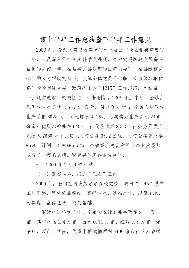 2022-镇上半年工作总结暨下半年工作意见