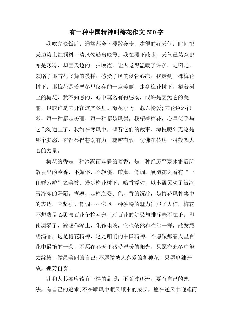 有一种中国精神叫梅花作文500字