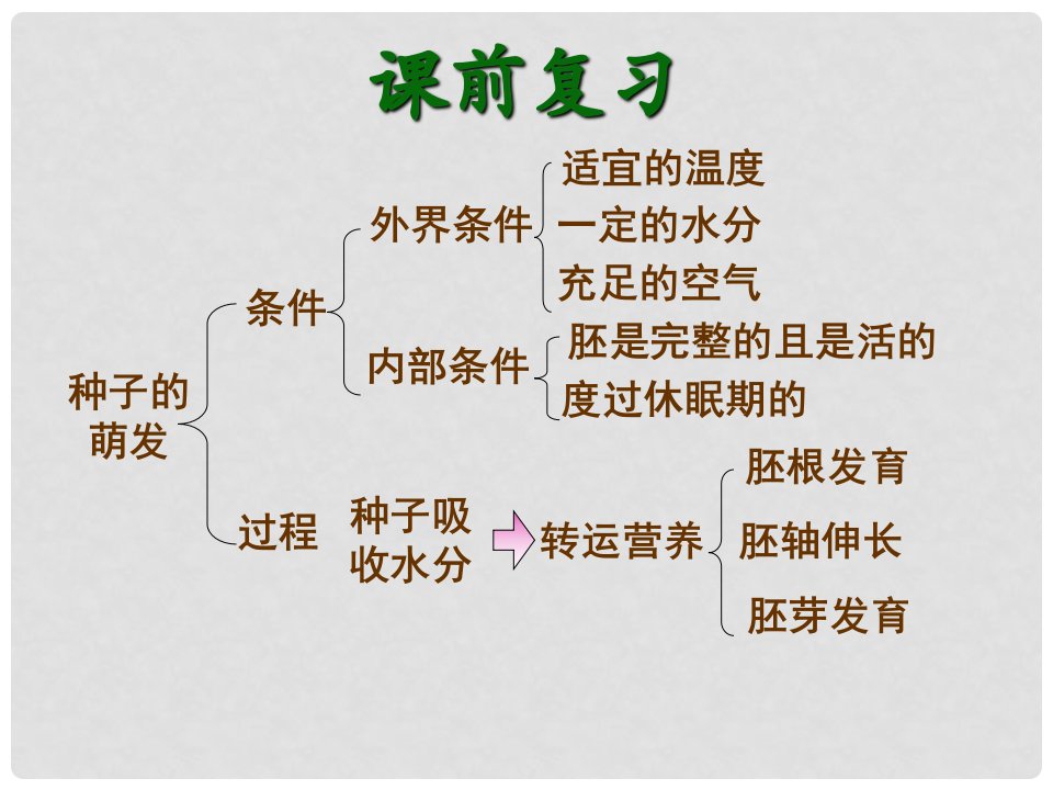 广东省台山市新宁中学七年级生物上册