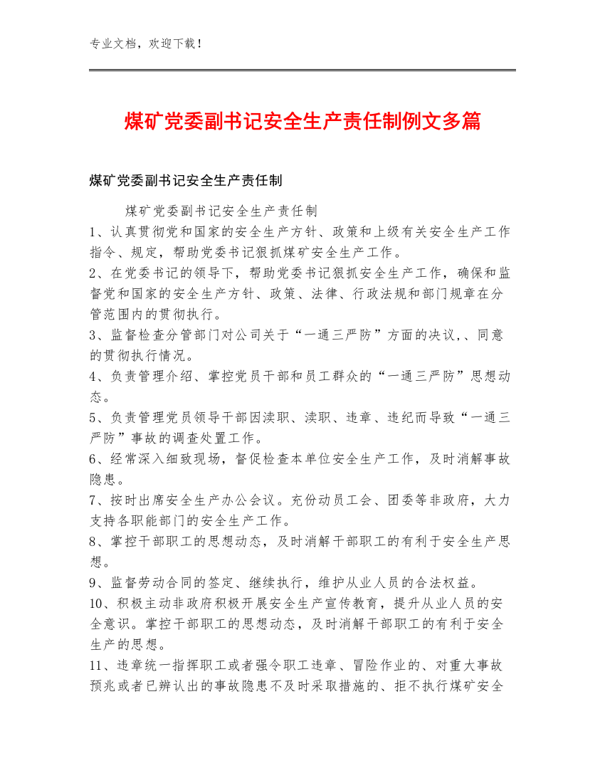 煤矿党委副书记安全生产责任制例文多篇