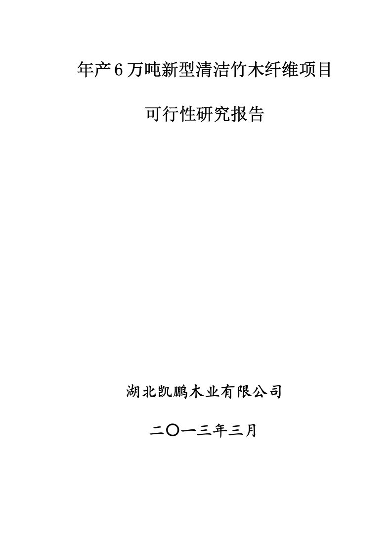 项目管理-年产6万吨新型清洁竹木纤维项目