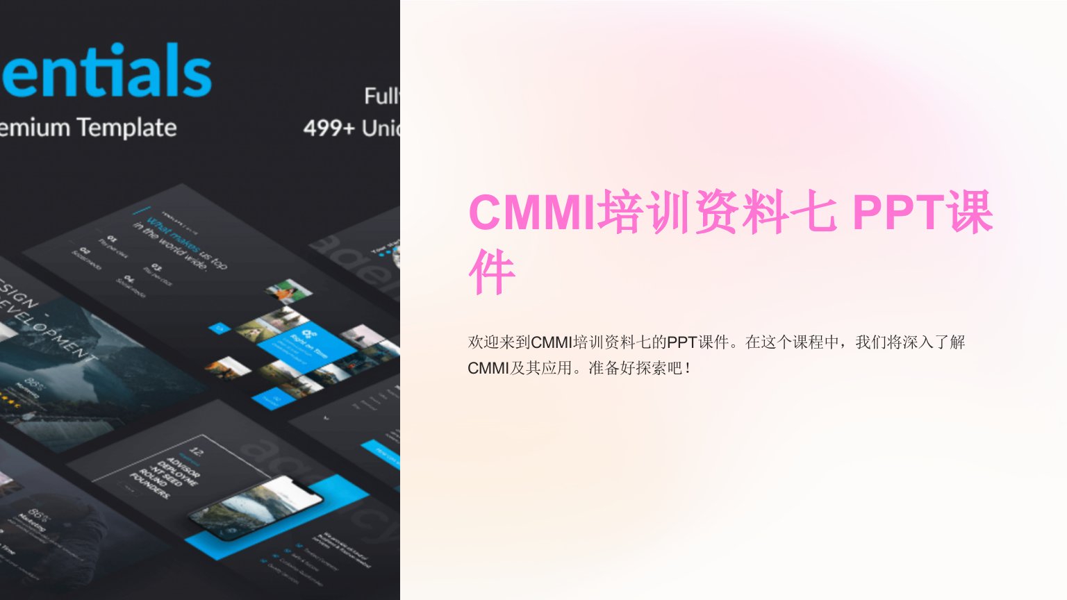 《CMMI培训资料七》课件