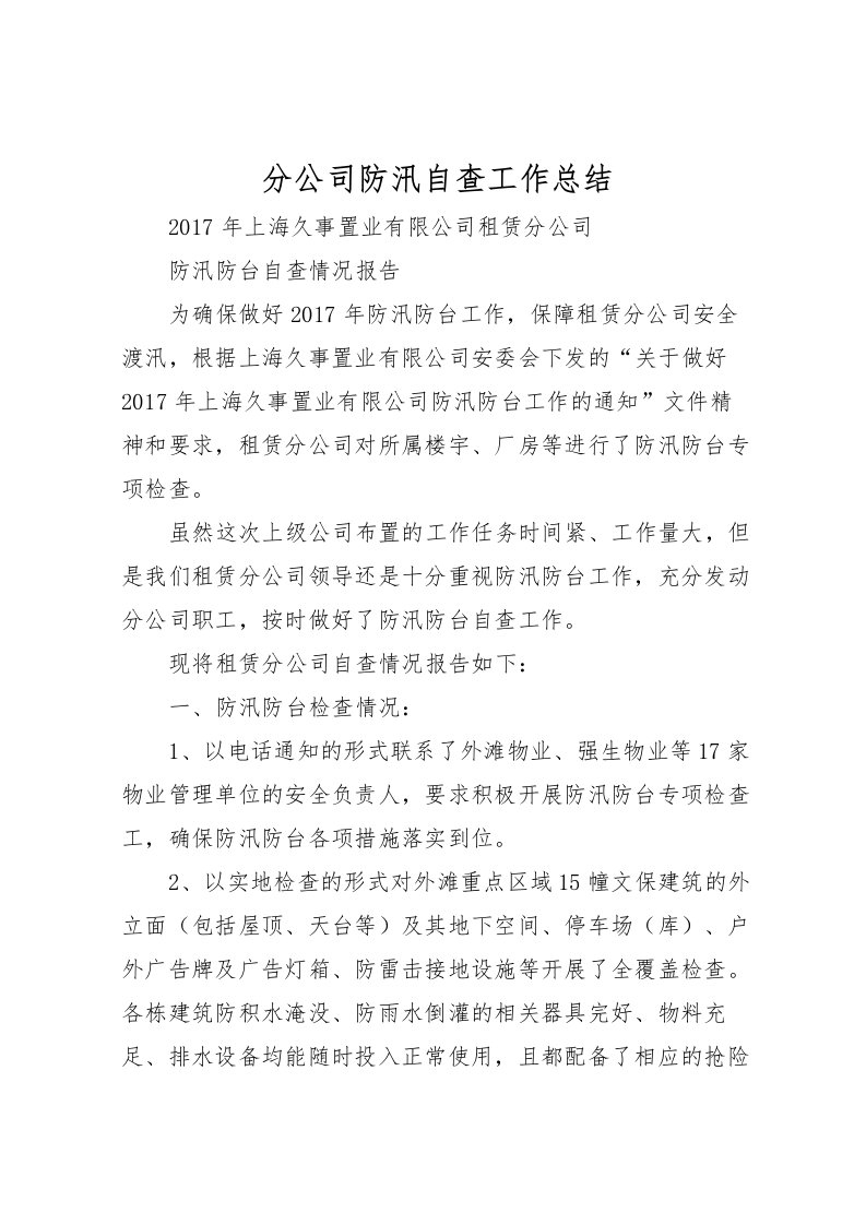 2022分公司防汛自查工作总结