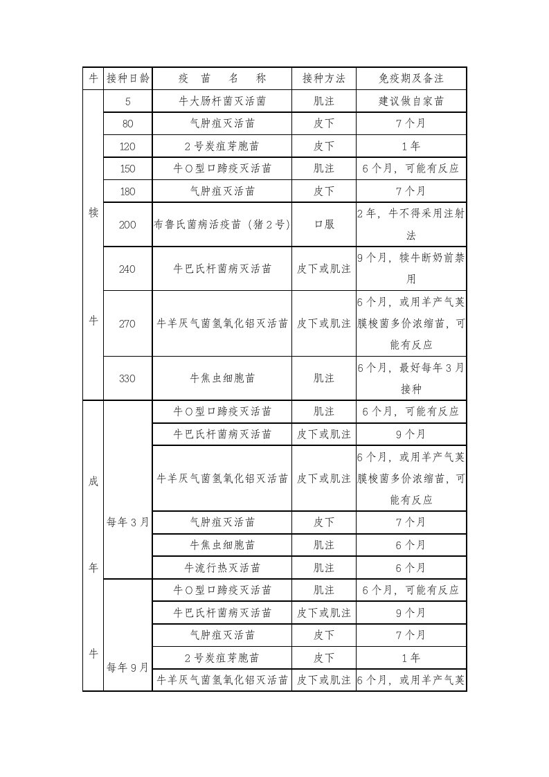 肉牛免疫程序