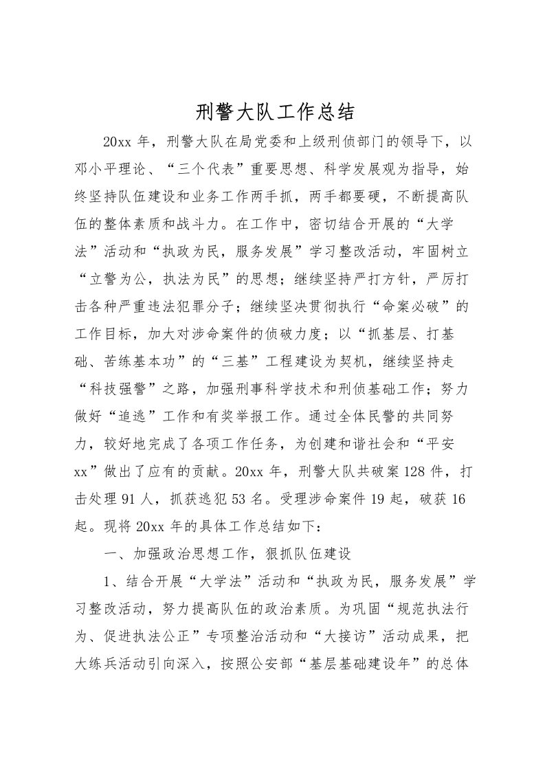 2022刑警大队工作总结