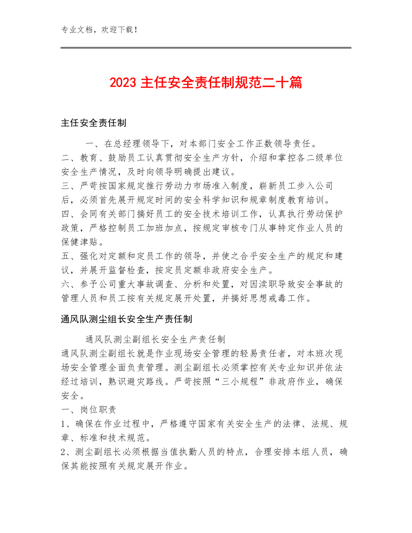 2023主任安全责任制规范二十篇