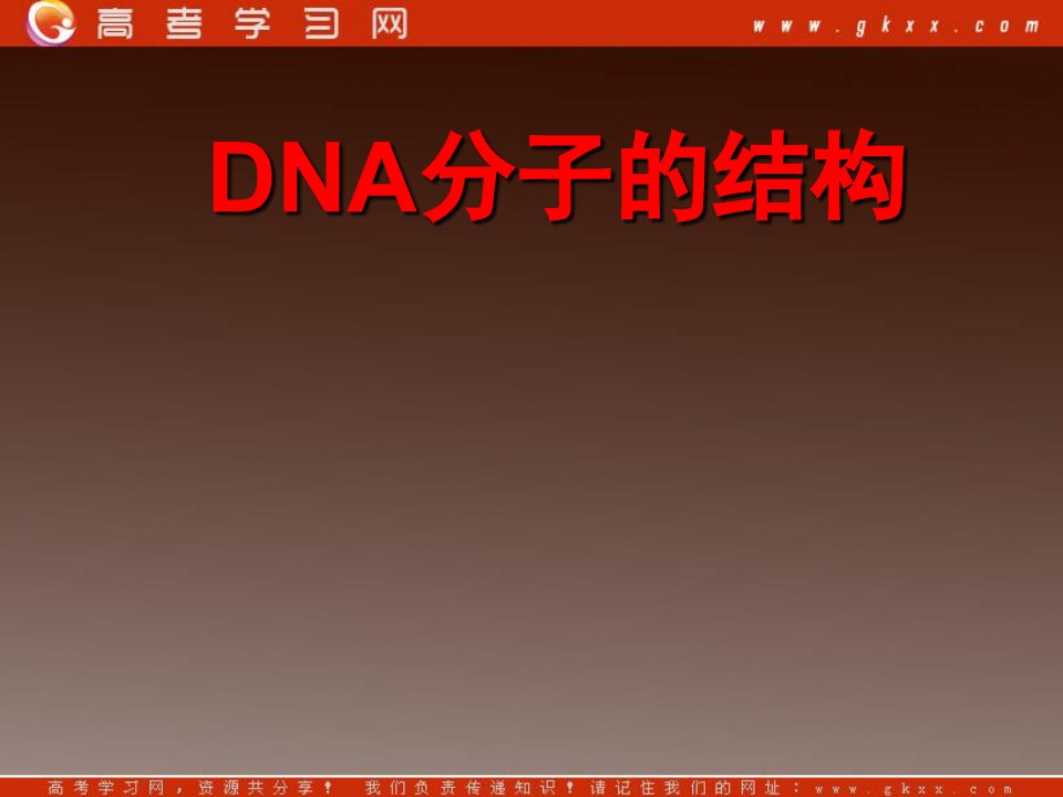 DNA分子的双螺旋结构模型