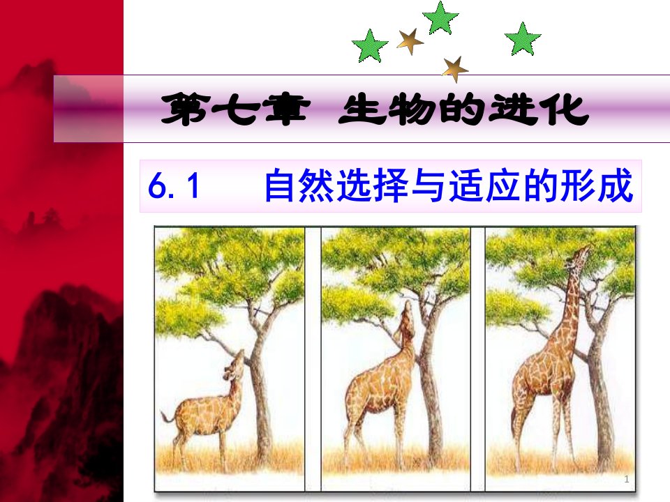 (新教材)2020人教版高一生物必修二：6.1-自然选择与适应的形成ppt课件