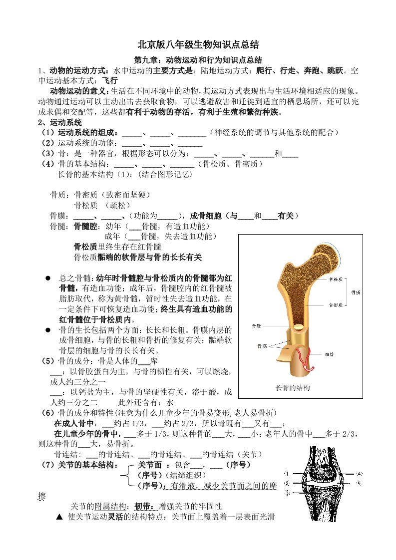 北京版八年级生物知识点总结