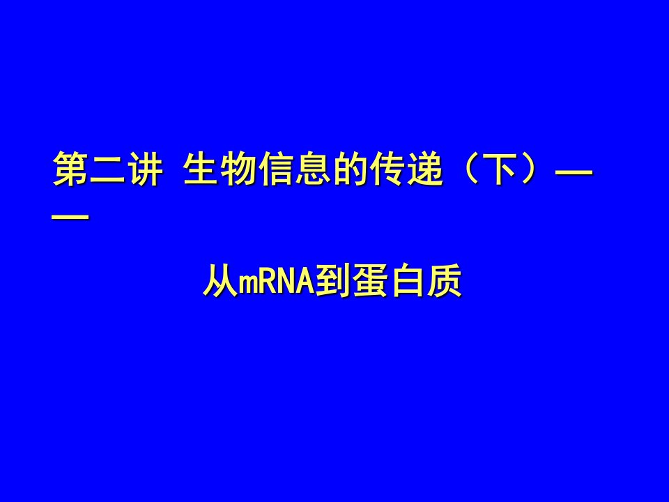 生物信息的传递下从mRNA到蛋白