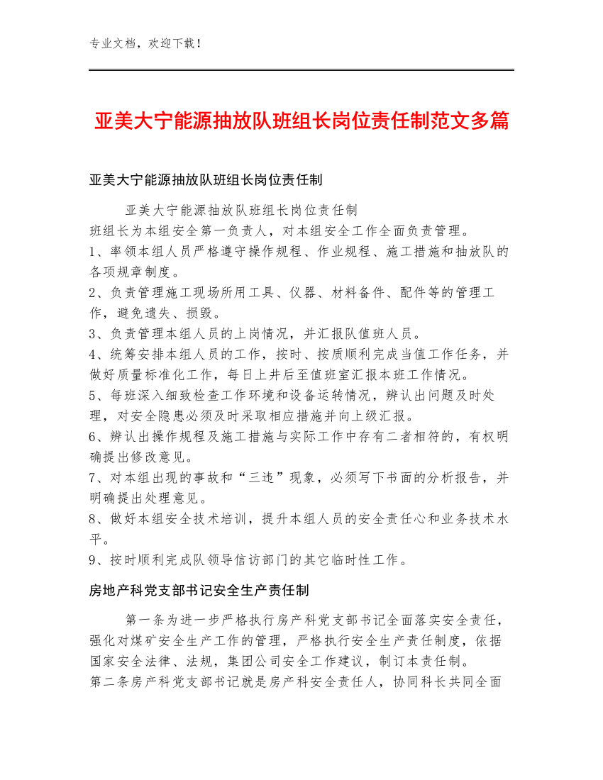 亚美大宁能源抽放队班组长岗位责任制范文多篇