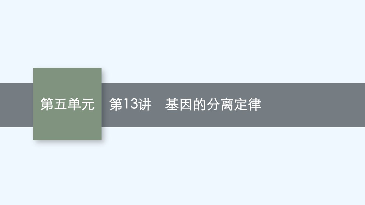 适用于老高考旧教材2024版高考生物一轮总复习第五单元遗传的基本规律第13讲基因的分离定律课件新人教版