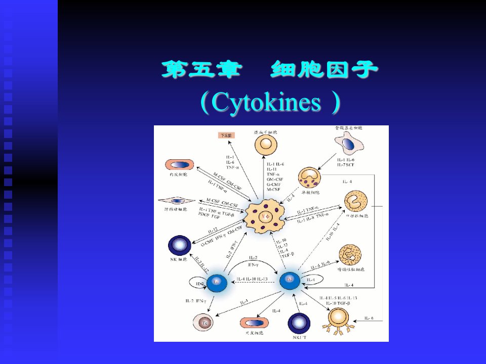 医学课件第五章细胞因子