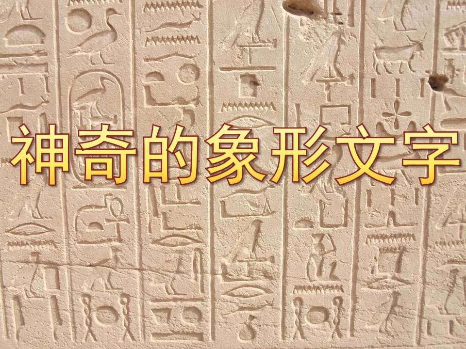 大班语言《神奇的象形文字》PPT课件教案PPT课件