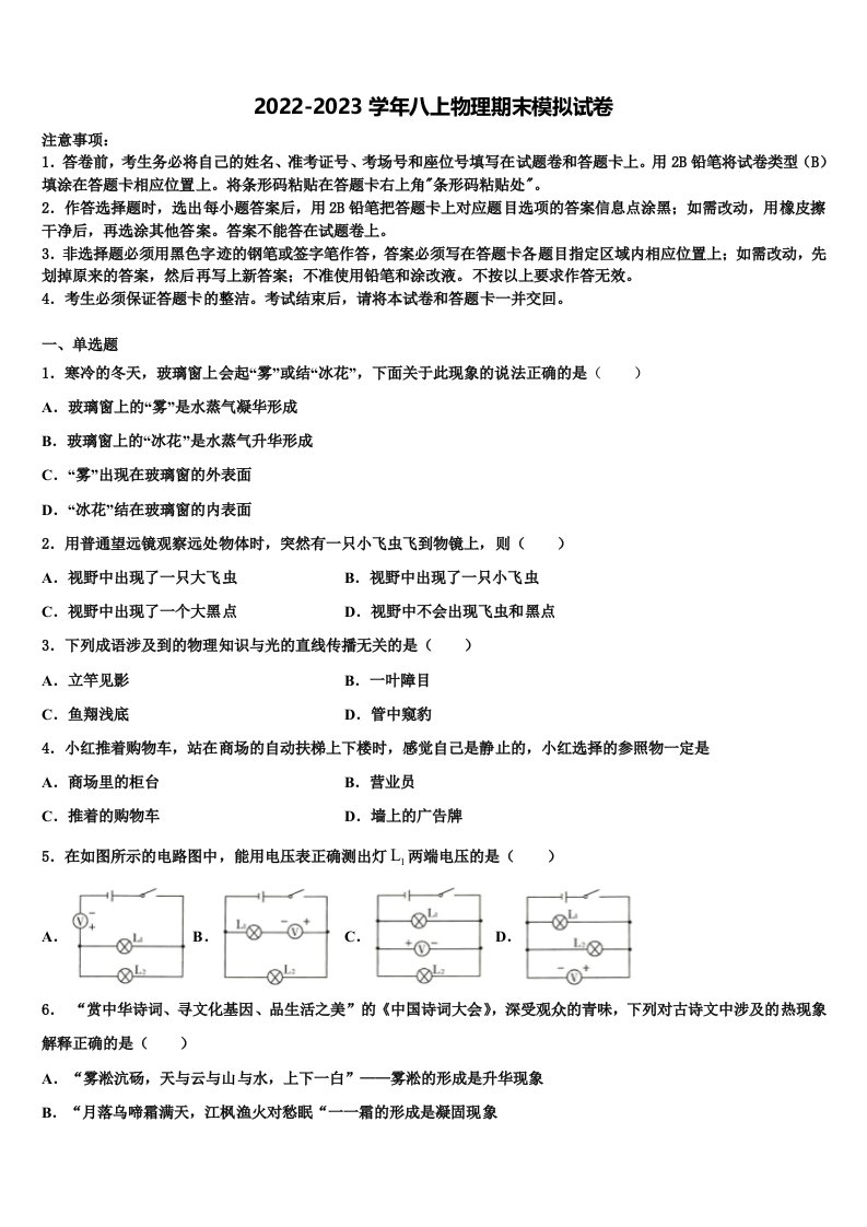 2022-2023学年广东省深圳市龙岗区大鹏新区华侨中学物理八年级第一学期期末复习检测试题含解析