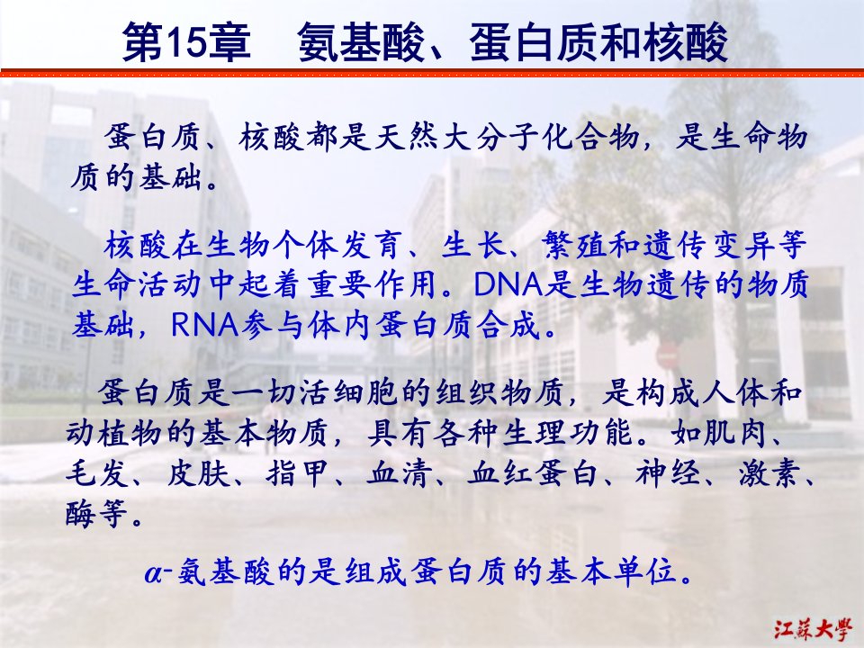 氨基酸、蛋白质和核酸简