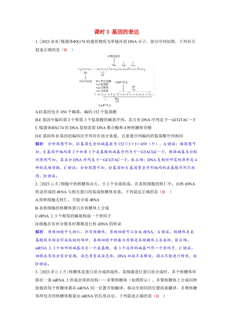 备考2024届高考生物一轮复习强化训练第六章遗传的分子基础课时3基因的表达