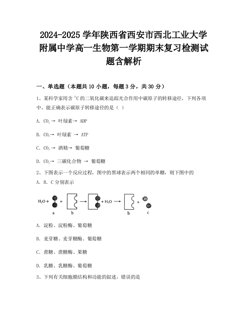 2024-2025学年陕西省西安市西北工业大学附属中学高一生物第一学期期末复习检测试题含解析