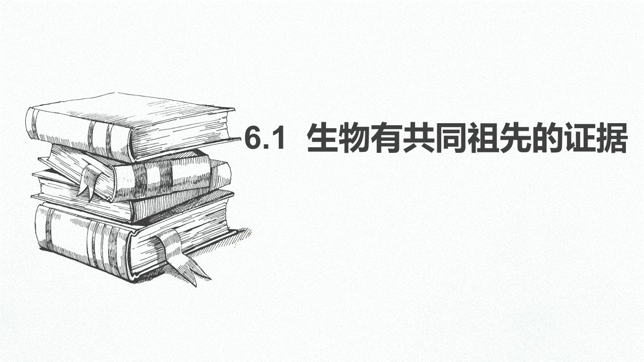 新教材人教版《生物有共同祖先的证据》课件