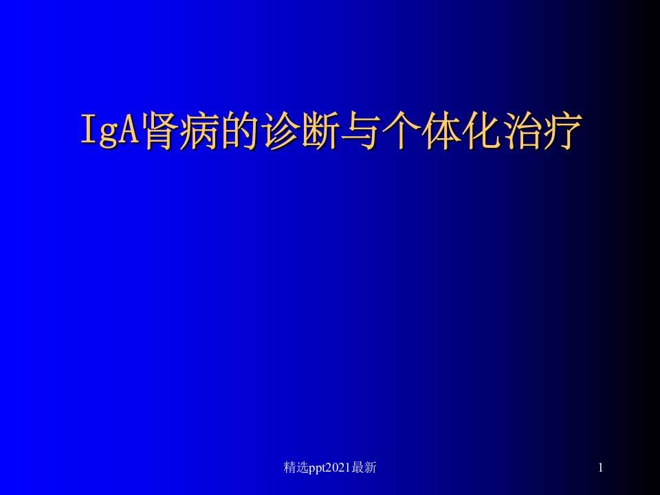 IgA肾病的诊断和个体化治疗PPT课件