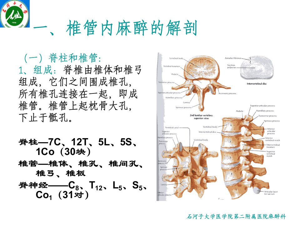 麻醉学.第七章.第五节椎管内麻醉