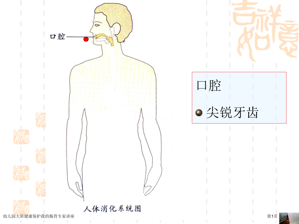 幼儿园大班健康保护我的肠胃专家讲座