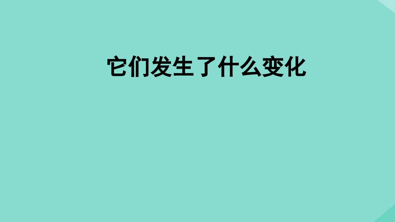 三年级科学上册第1单元水8它们发生了什么变化课件教科版