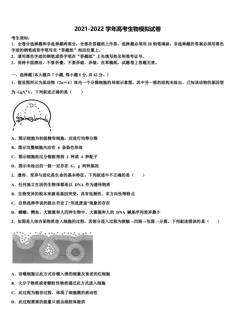 福建省莆田第十中学2021-2022学年高三第三次模拟考试生物试卷含解析