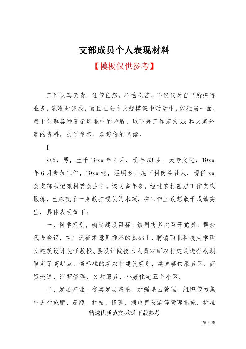 支部成员个人表现材料(共6页)