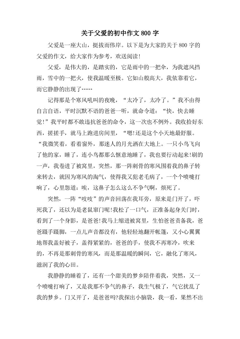 关于父爱的初中作文800字