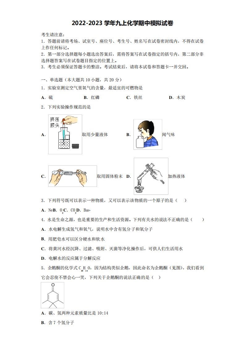 深圳市宝山区九年级化学第一学期期中学业水平测试试题含解析