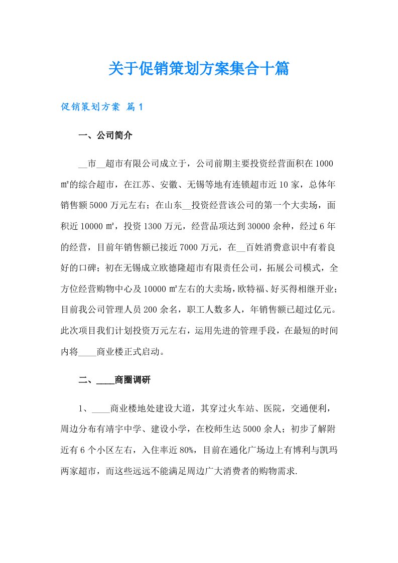 关于促销策划方案集合十篇