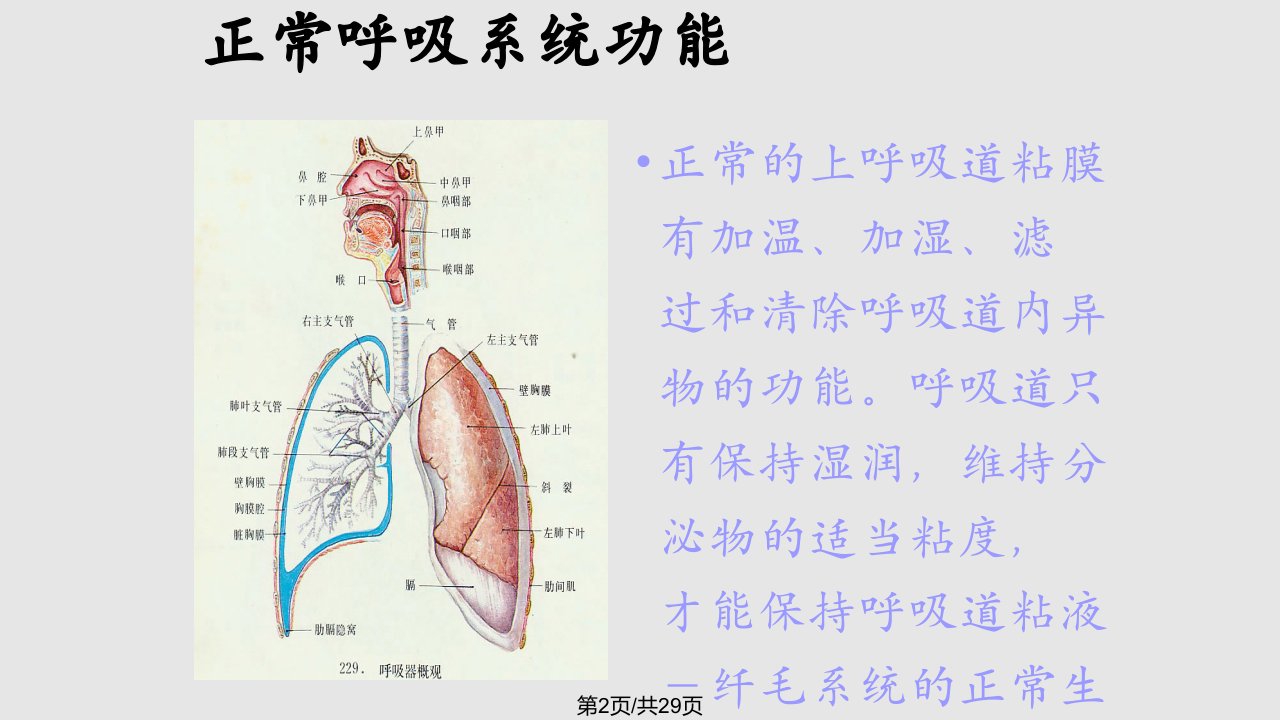 气管切开患者的护理