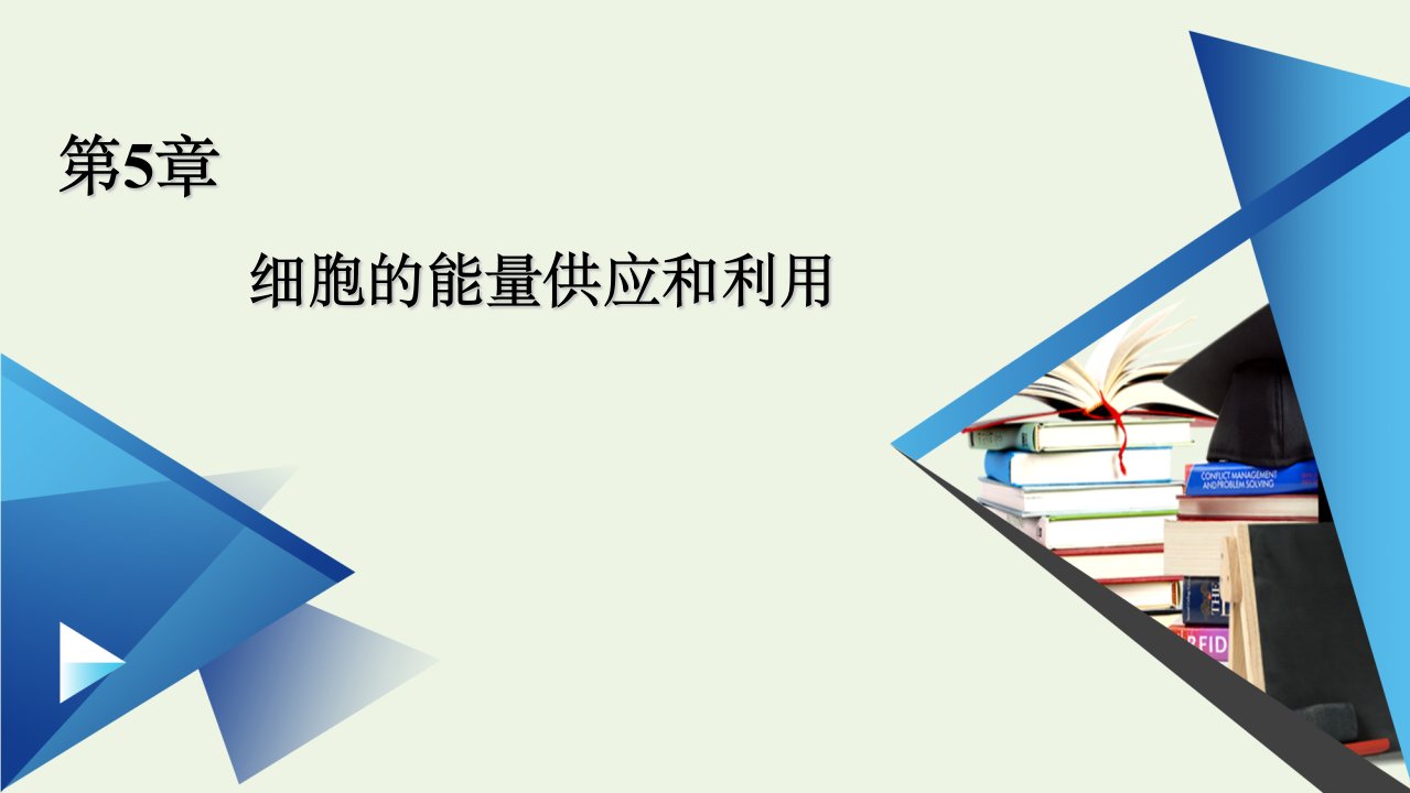 新教材高中生物第5章细胞的能量供应和利用本章整合5课件新人教版必修1