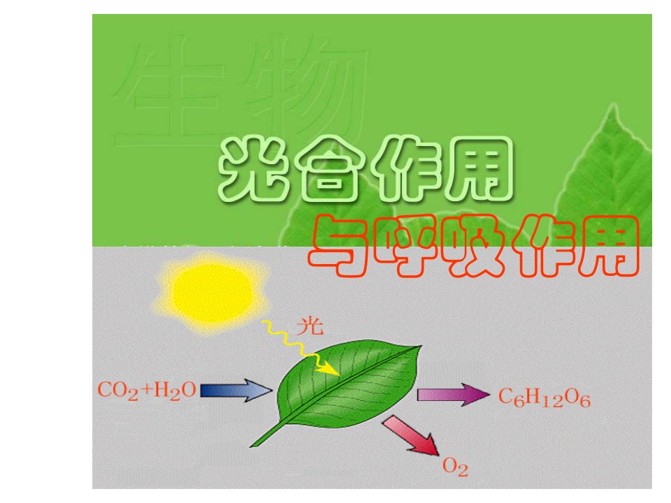 高一生物光合作用与呼吸作用综合应用1