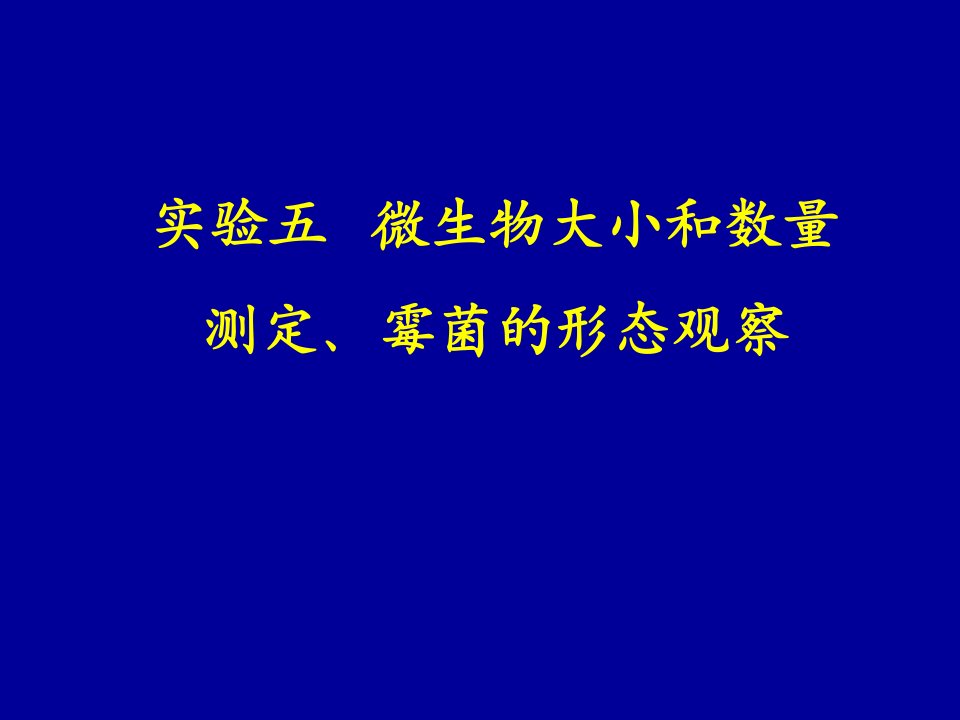 实验五微生物数量和大小测定霉菌的观察