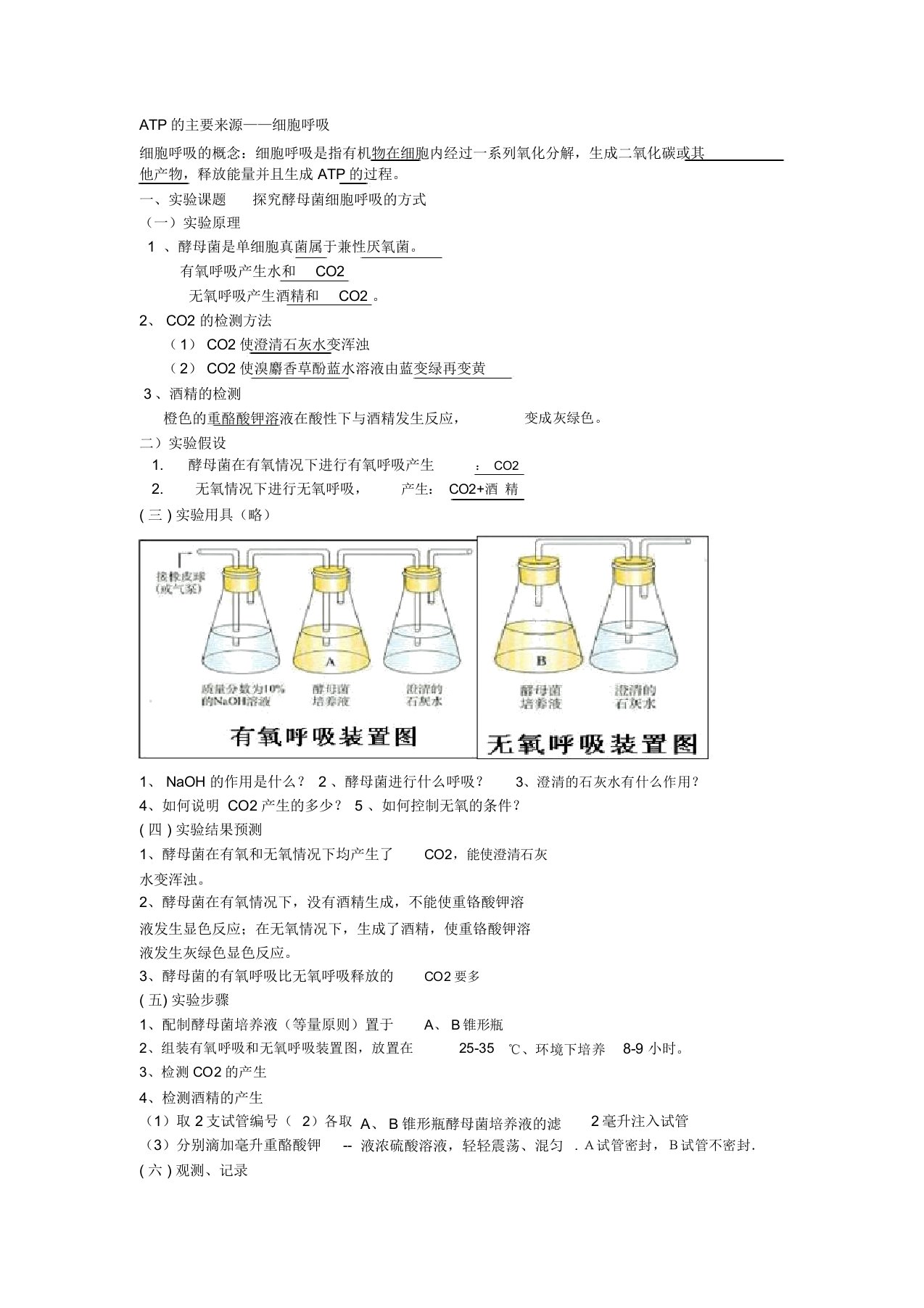 光合作用和呼吸作用知识点总结