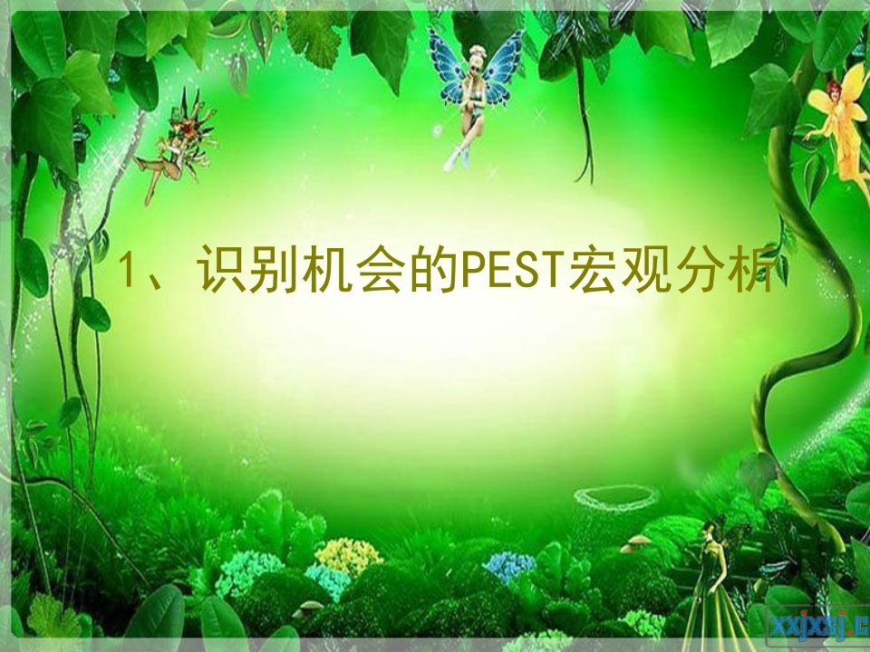 PEST行业分析