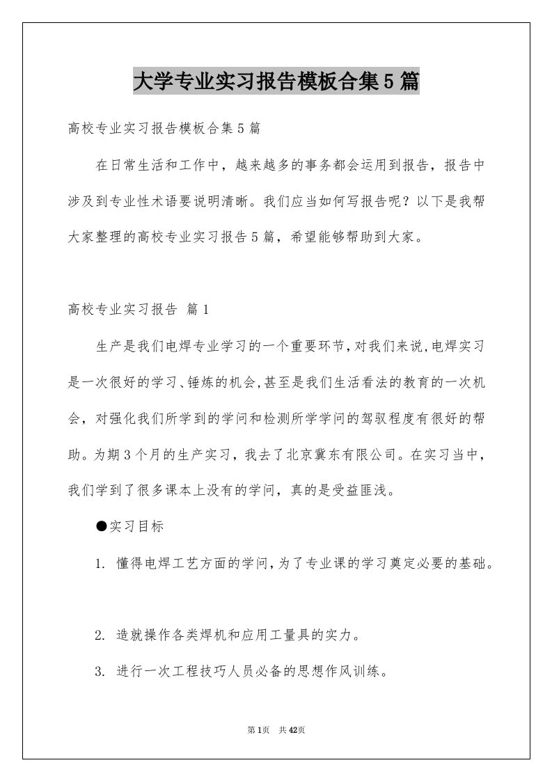 大学专业实习报告模板合集5篇例文