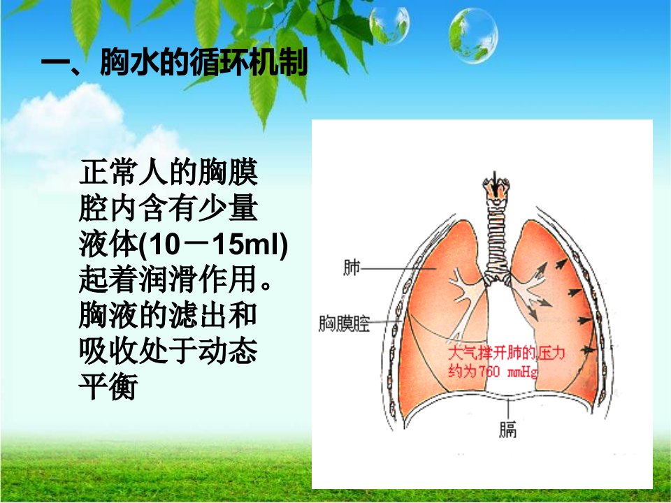 结核性胸膜炎胸腔积液ppt课件