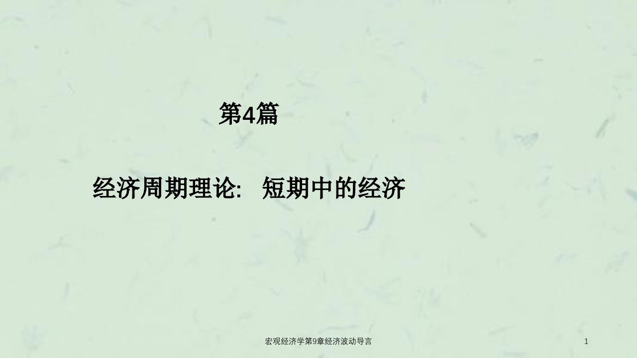 宏观经济学第9章经济波动导言课件