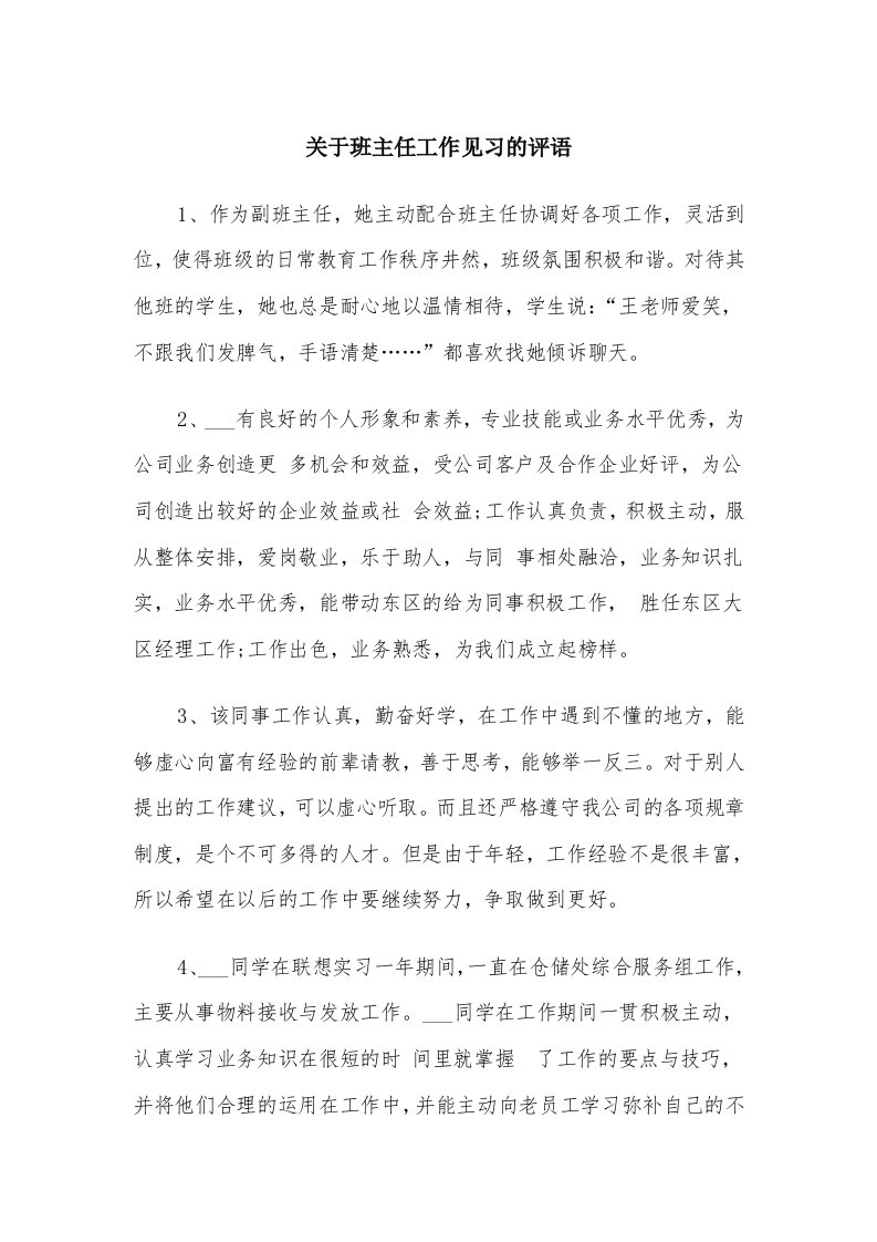 关于班主任工作见习的评语