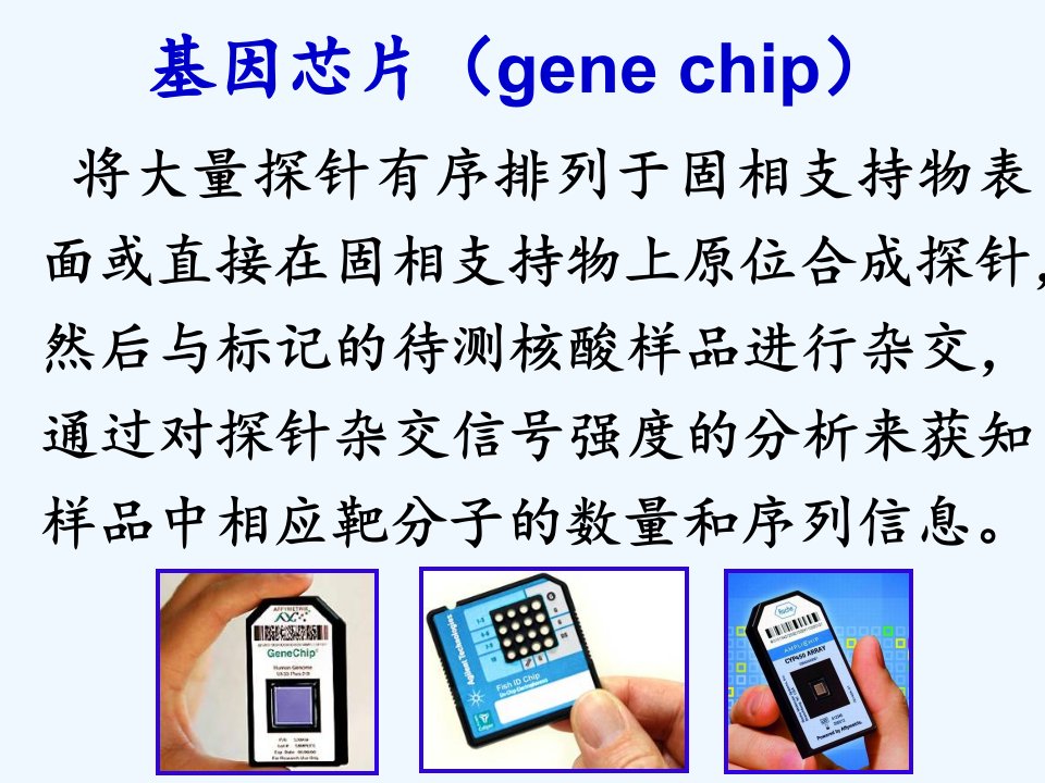 第六章常用分子生物学技术RNA干扰技术