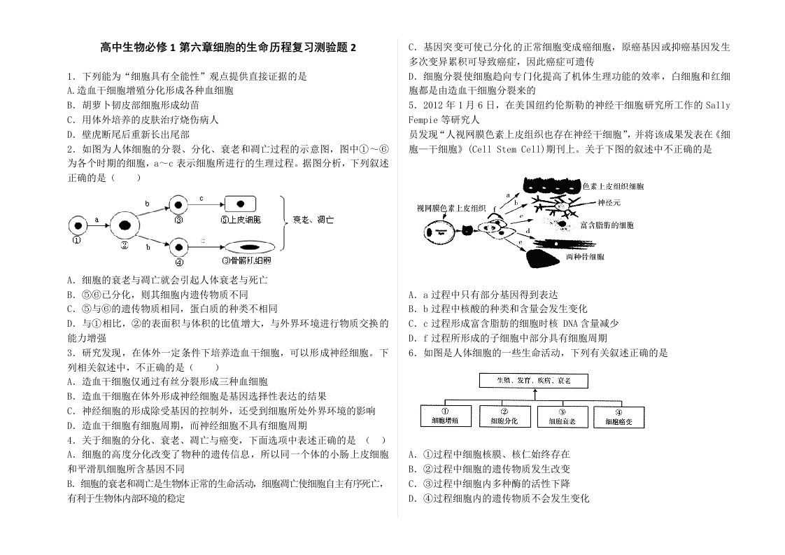 高中生物必修1第六章细胞的生命历程复习测验题