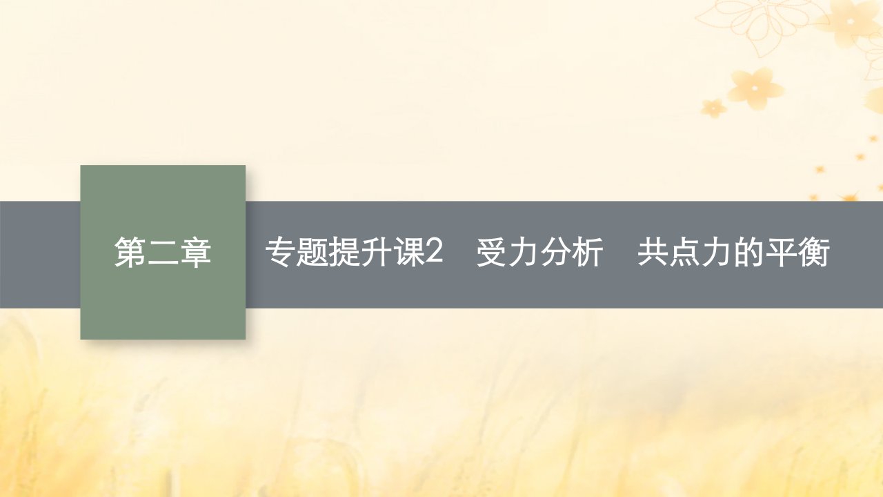 适用于新教材2024版高考物理一轮总复习第2章相互作用专题提升课2受力分析共点力的平衡课件