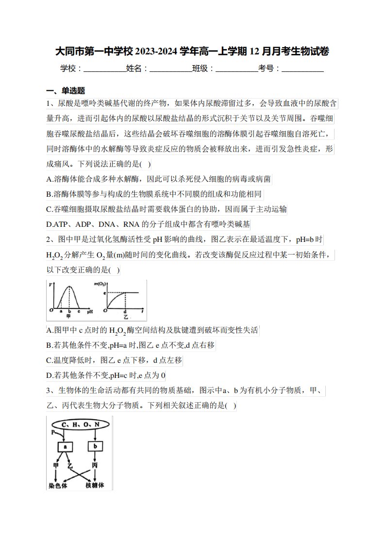 2024学年高一上学期12月月考生物试卷(含答案)