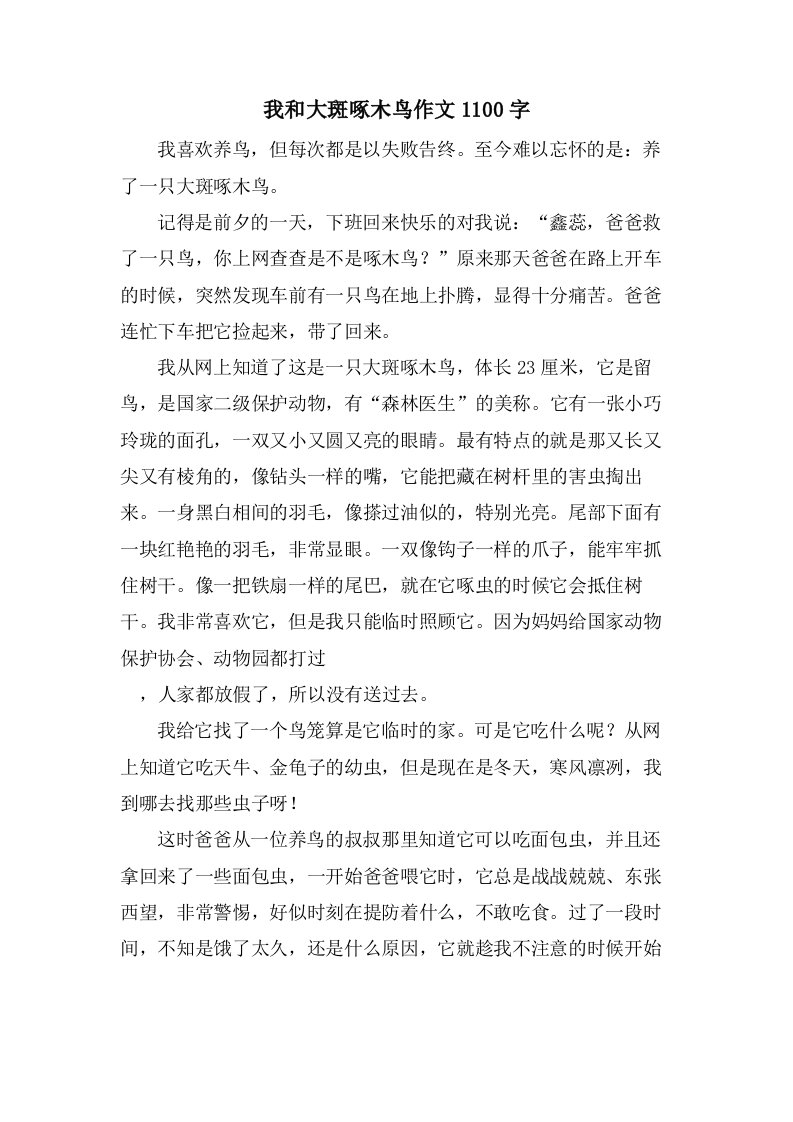 我和大斑啄木鸟作文1100字